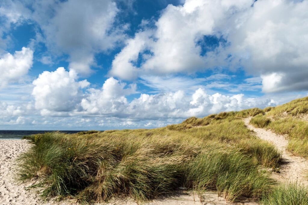 Sti gennem klitterne ved havet